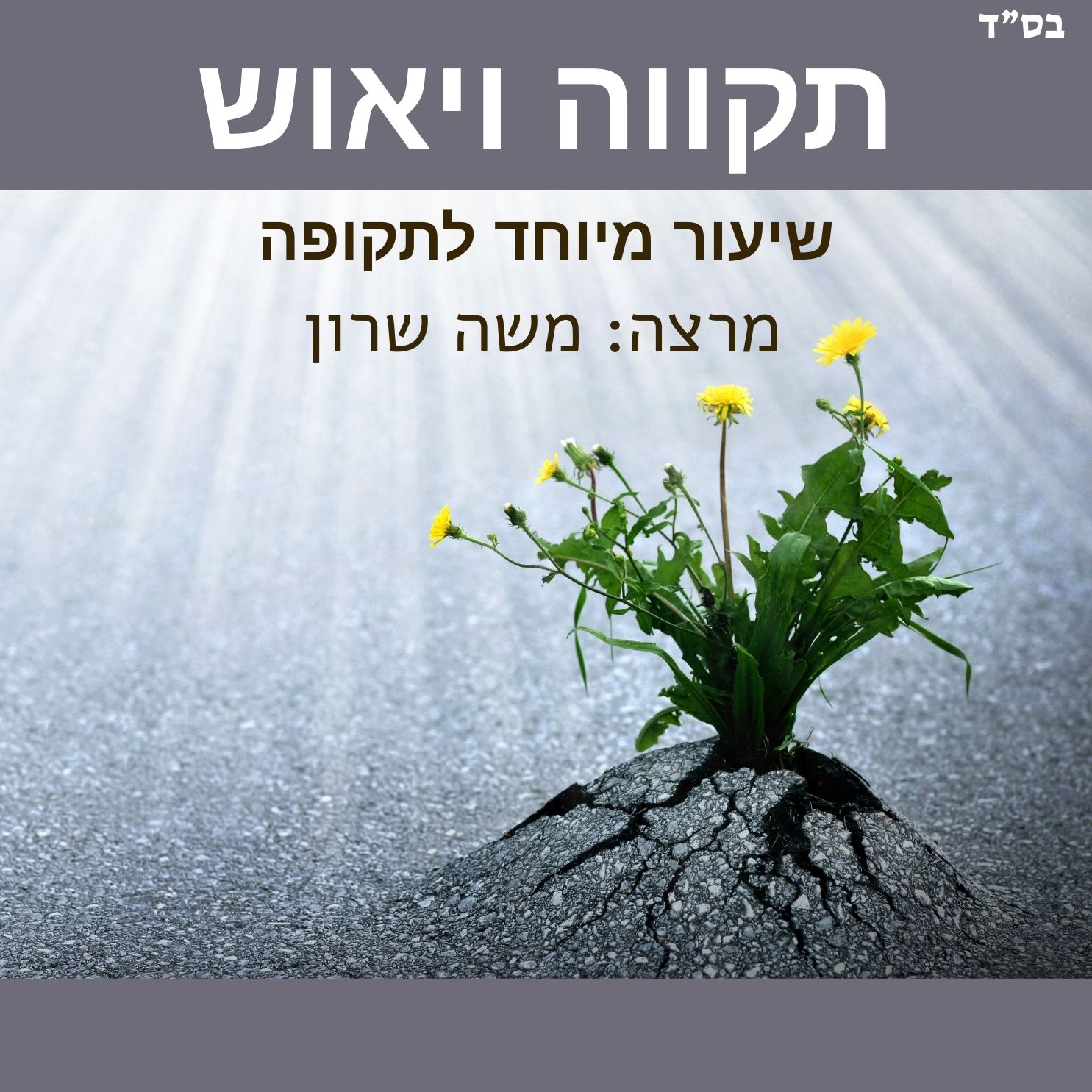 צמיחה