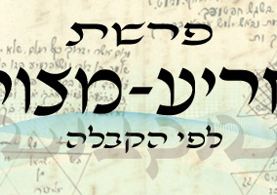 פרשת תזריע מצורע