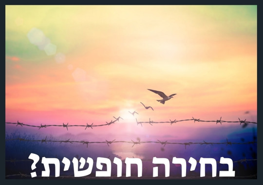 מאמר החירות | 10 שיעורים לצפייה