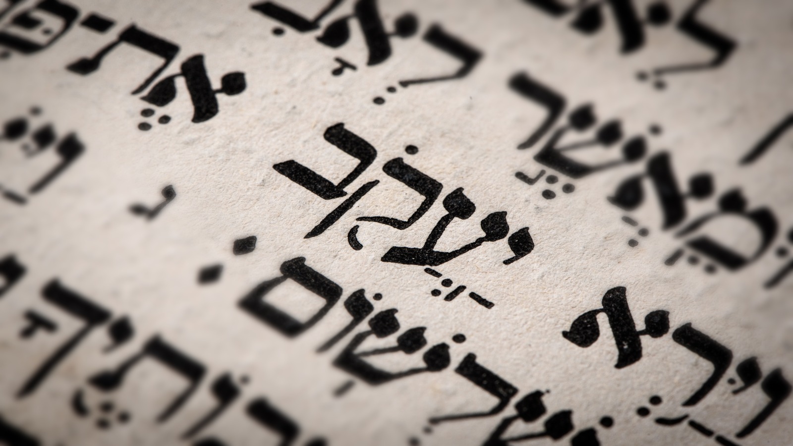 חומש בראשית