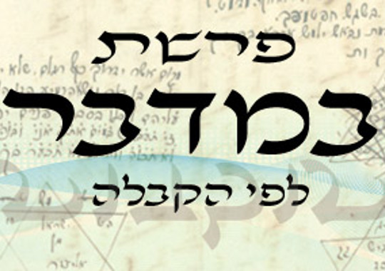 פרשת במדבר