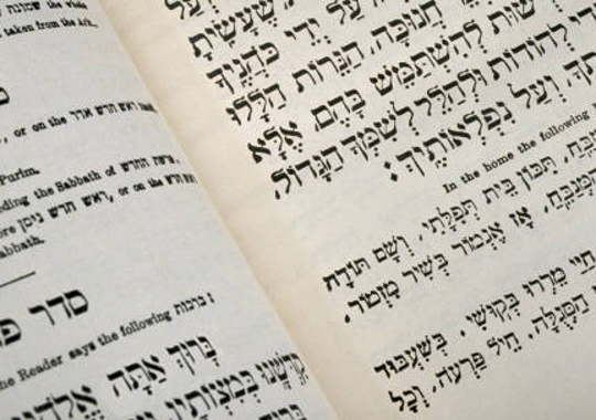 	לקבלת המבול - עמוד נוח | ניר אביעד