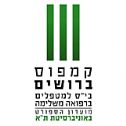ברושים