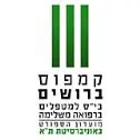 ברושים