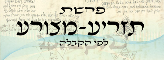 פרשת תזריע - מצורע