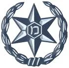 משטרת ישראל