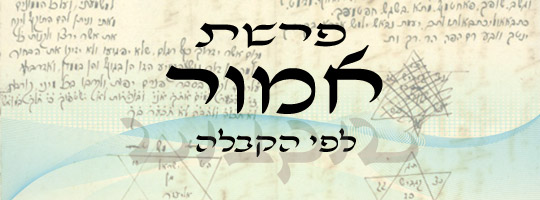פרשת אמור