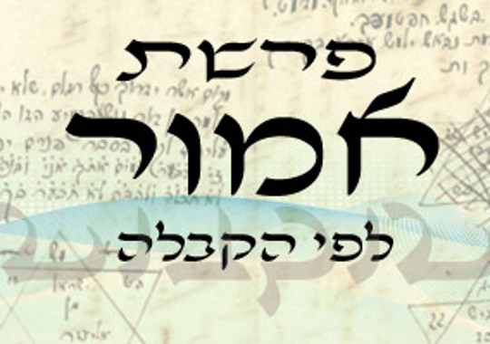 פרשת אמור