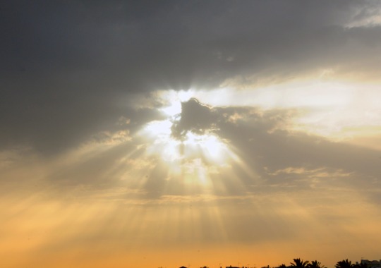 שמיים, עננים, שמש, קרניים של שמש, עצים, רקע כתום אפור