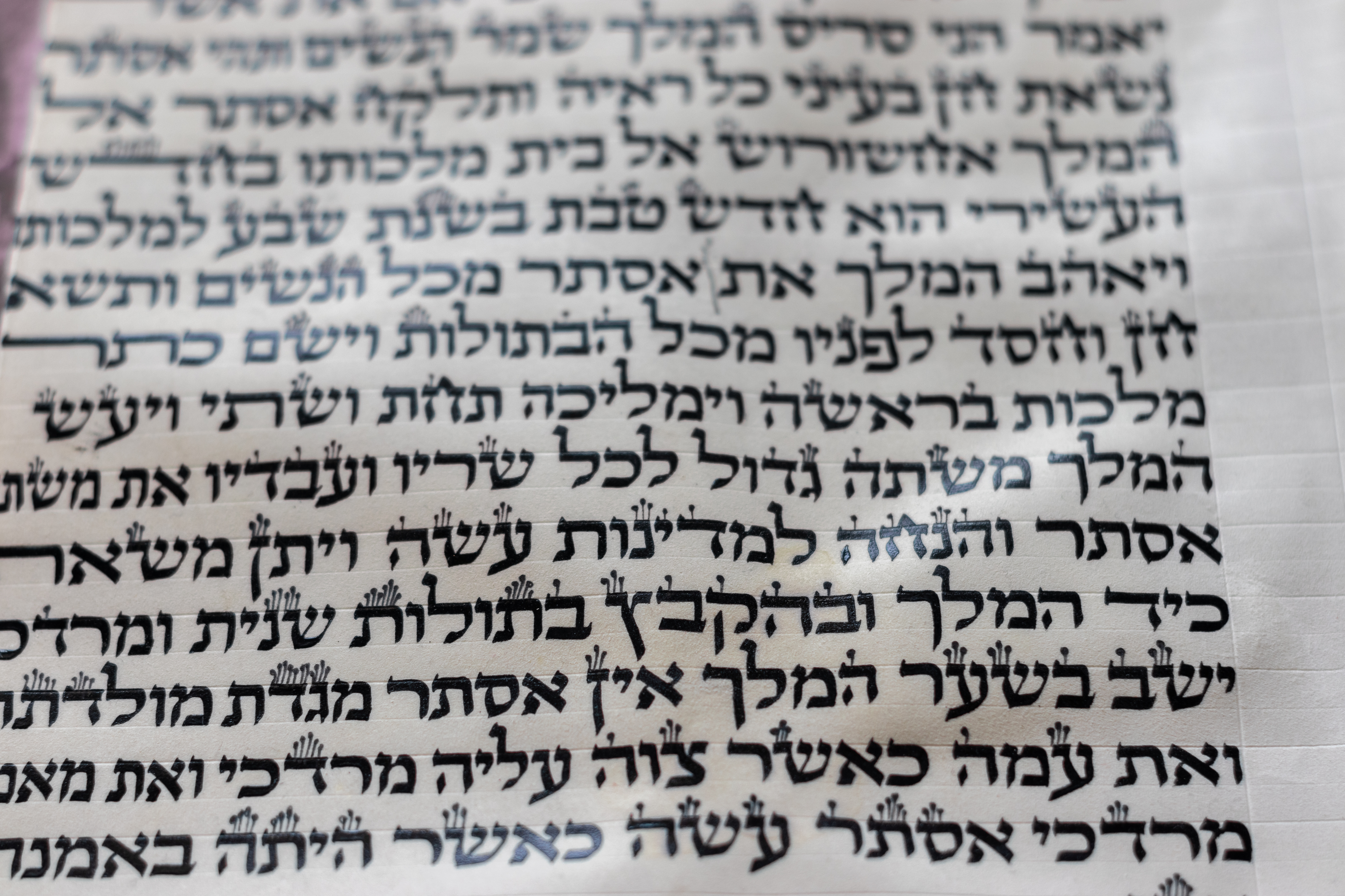 קטע ממגילת אסתר