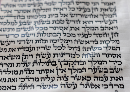 קטע ממגילת אסתר