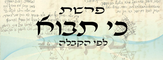 פרשת כי תבוא