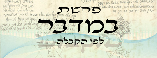 פרשת במדבר