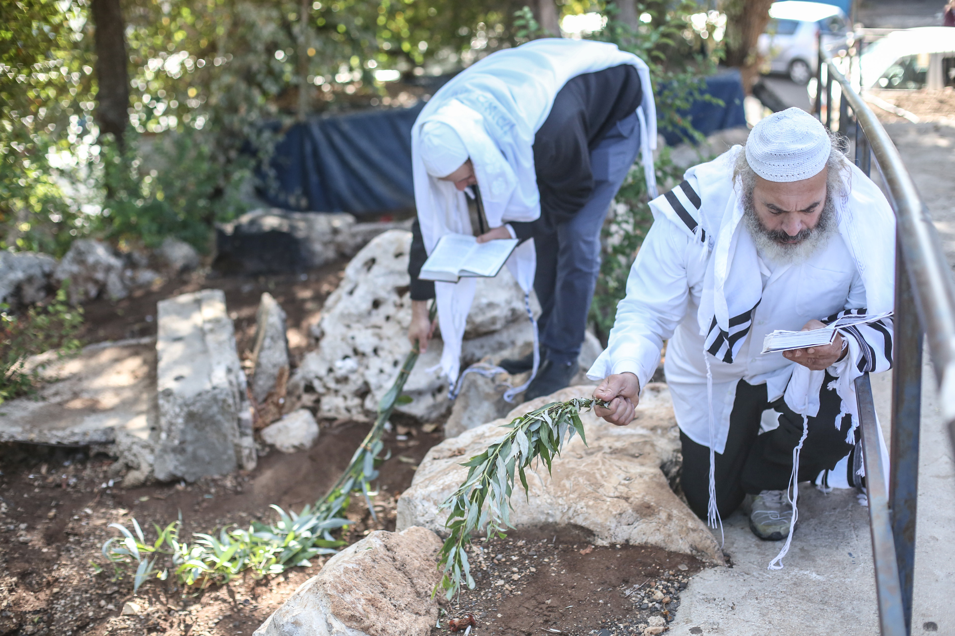 חובטים ערבות בהושענא רבא