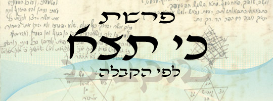 פרשת כי תצא