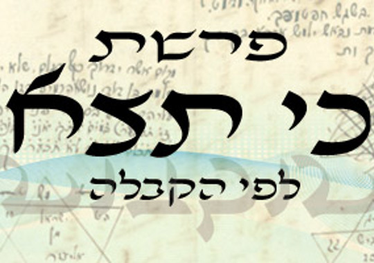 פרשת כי תצא